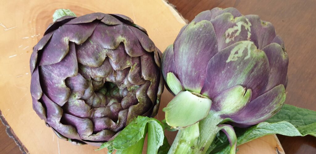 carciofi alla romana
