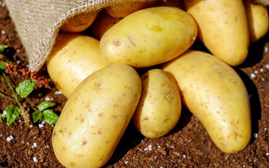 Patate: tutto ciò che devi sapere in 4 passaggi