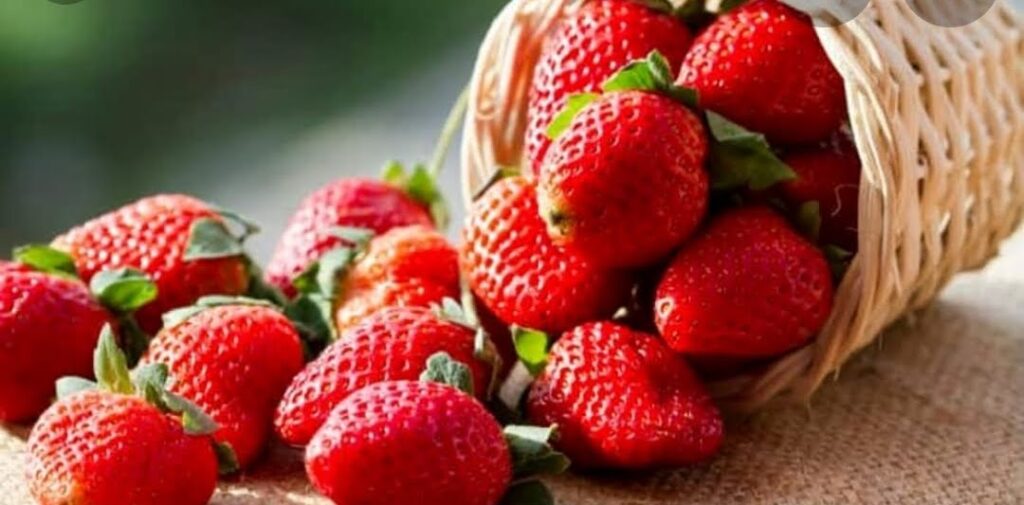crema alle fragole