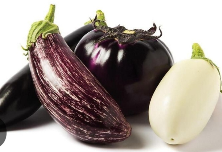 Melanzane: varietà, caratteristiche, curiosità e usi in cucina