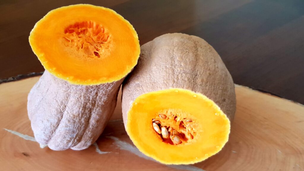 la zucca