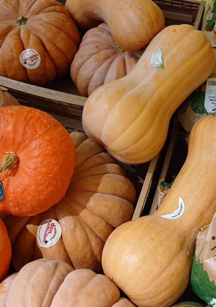  la zucca