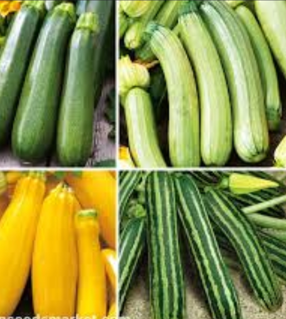 Zucchine : proprietà, varietà e usi in cucina