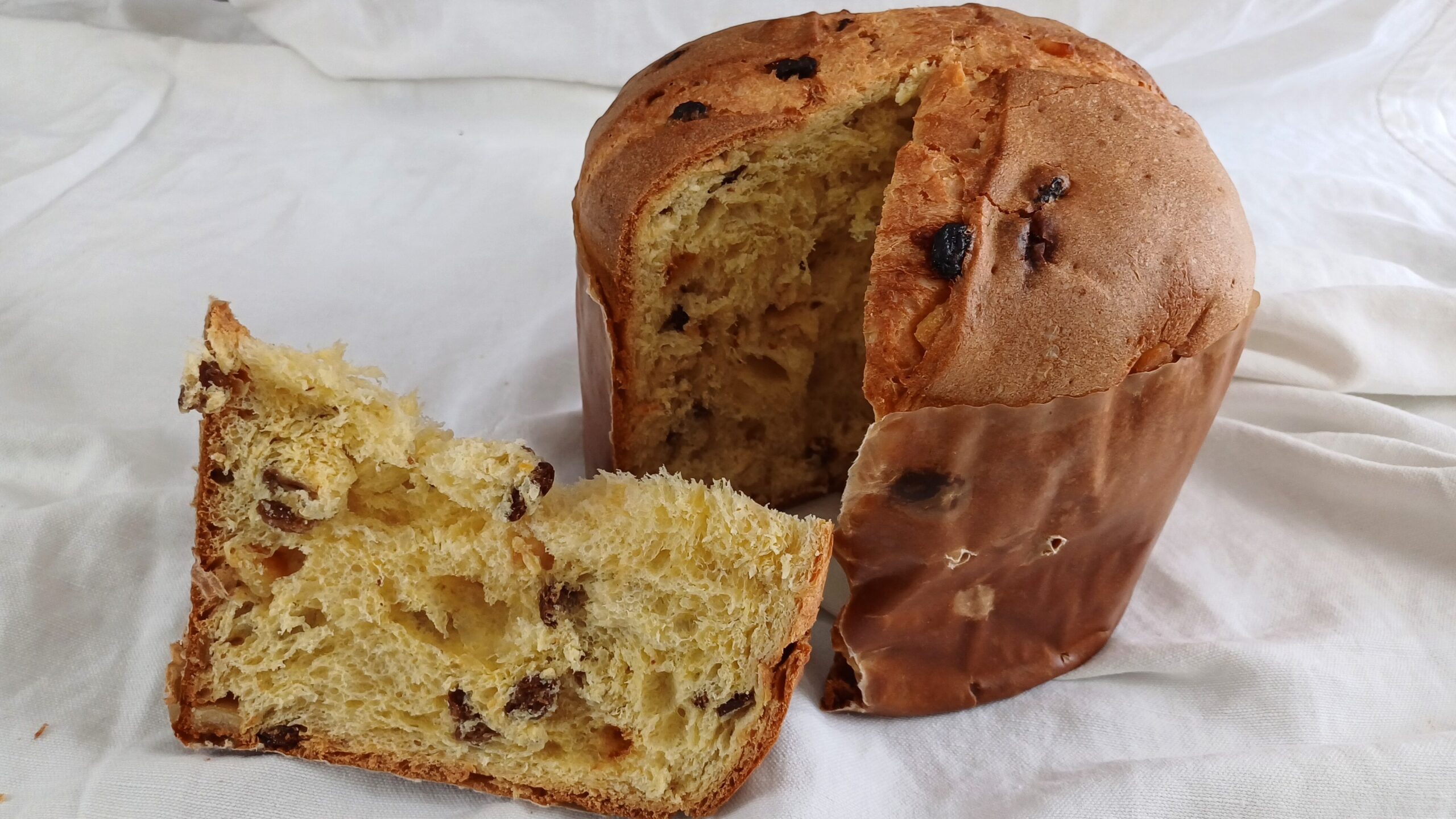 Panettone con Biga- soffice, alveolato, spettacolare