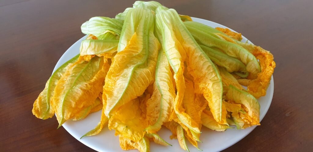 fiori di zucca in pastella
