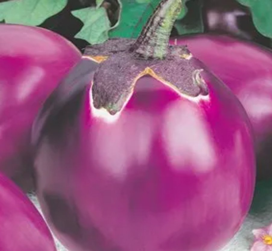 melanzane