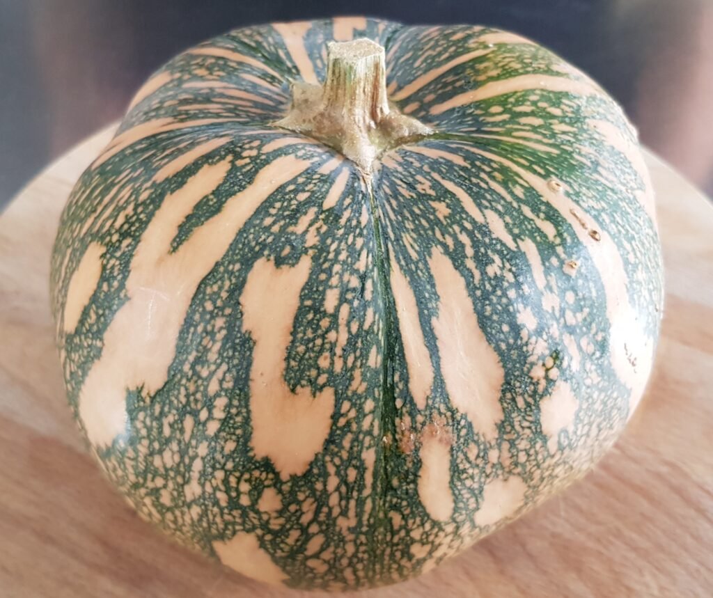 la zucca