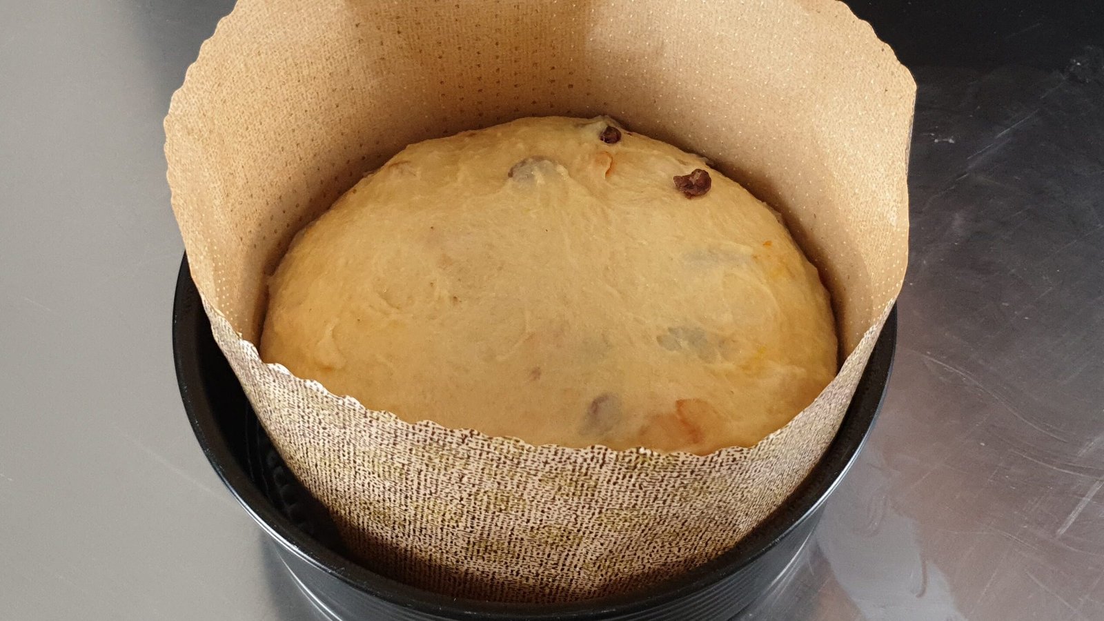 panettone
