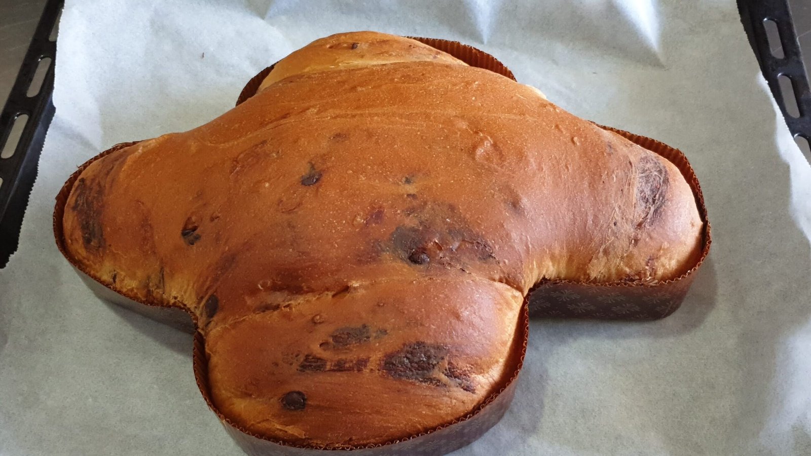 colomba